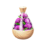 Blue Celosia